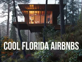 Treehouse in a forest with text overlay: Cool Florida Airbnbs