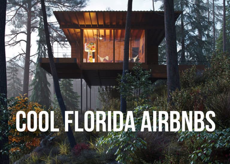 Treehouse in a forest with text overlay: Cool Florida Airbnbs