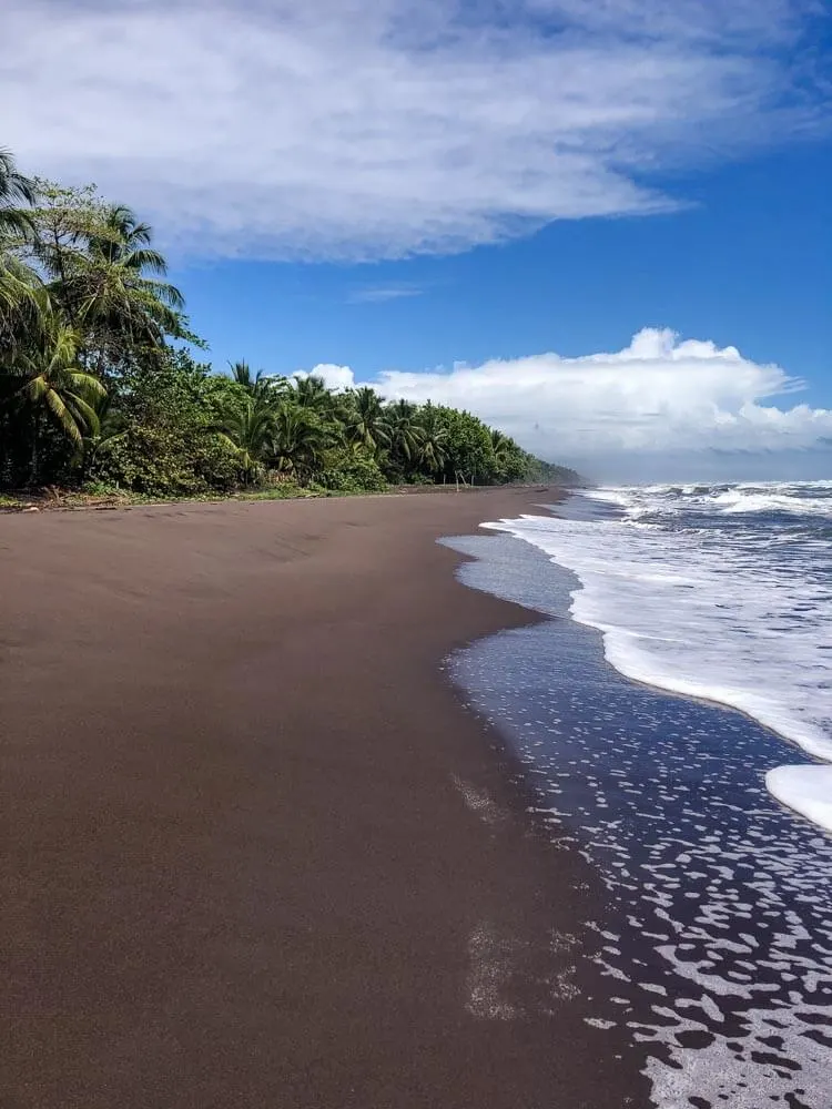 volcanic beach in Tortuguero Costa Rica