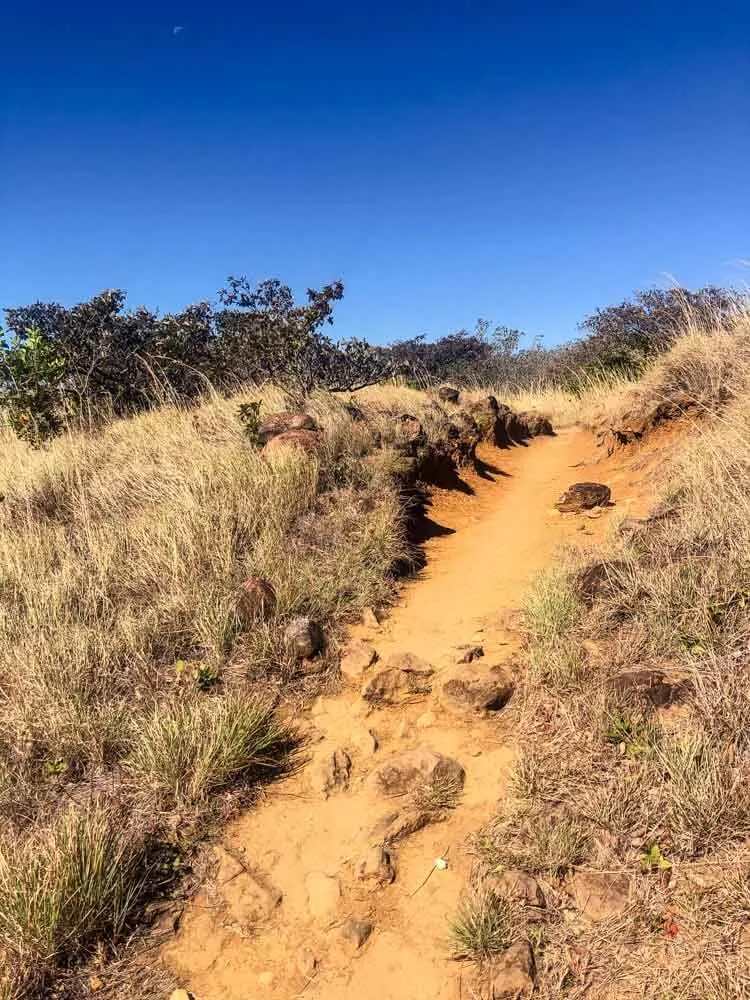a hiking path exposed to the sun