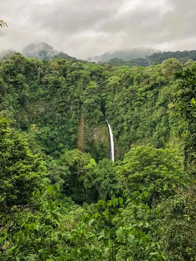 A waterfalls surrounded by lush greenery