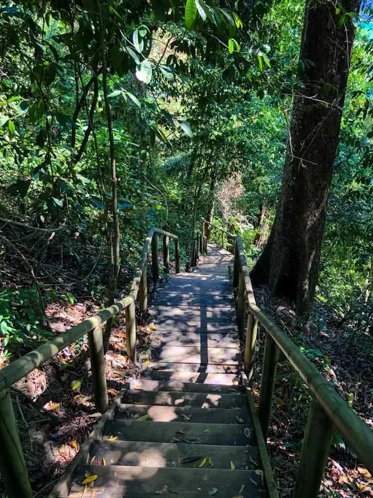 stairs leading down in a Costa Rica National Park