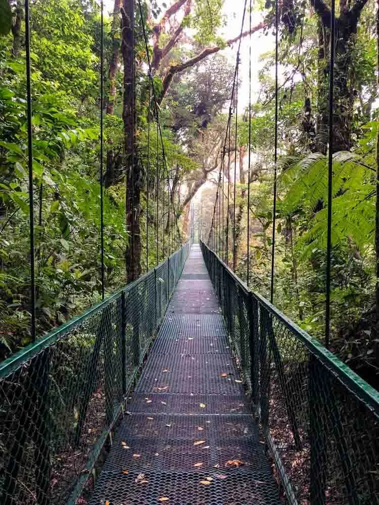 A suspended bridge in Monteverde Reserve Costa Rica
