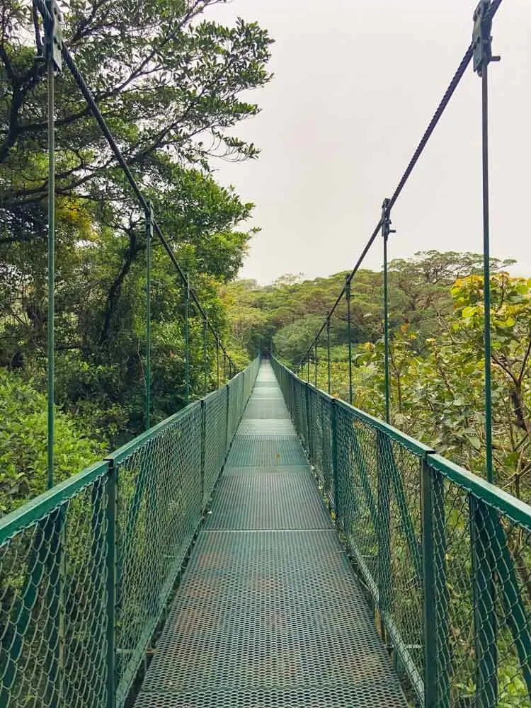 A suspended bridge in Monteverde Reserve Costa Rica