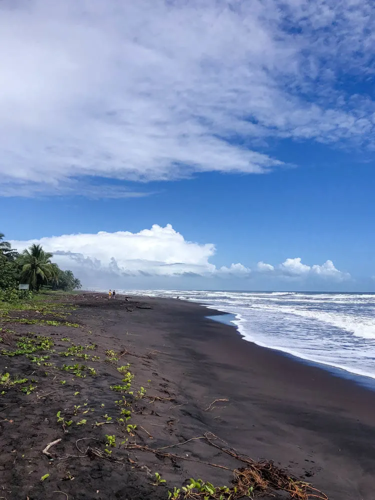 black sand beach