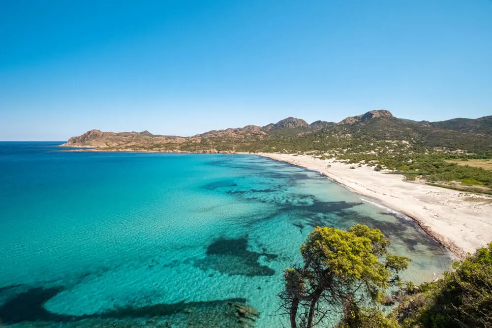 A wild white sand beach in Corsica