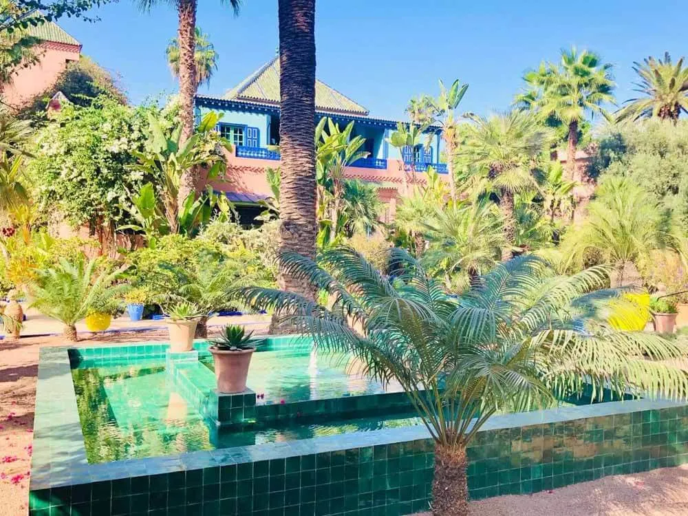 Lush greenery of Majorelle Garden in Marrakech Morocco