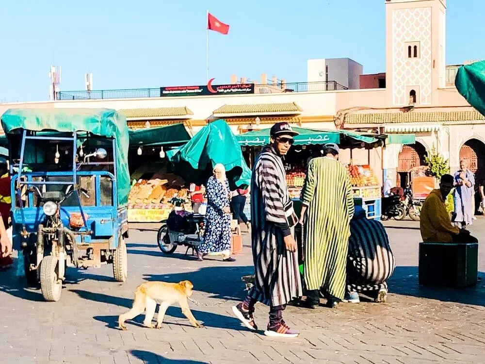 a man with a pet monkey on the main square of Marrakech Morocco