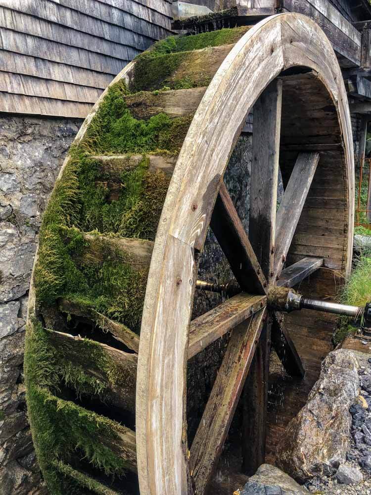 old mill covered in moss