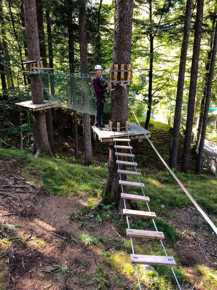 On a climbing course at an adventure park in a forest