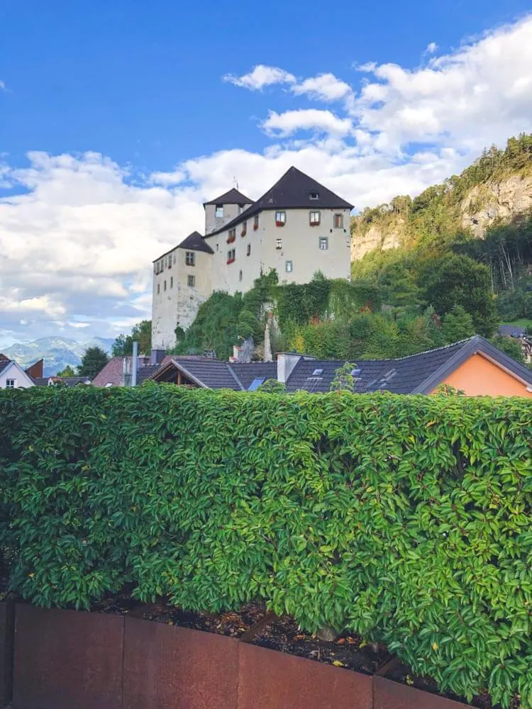 A view of a castle surrounded by greenery