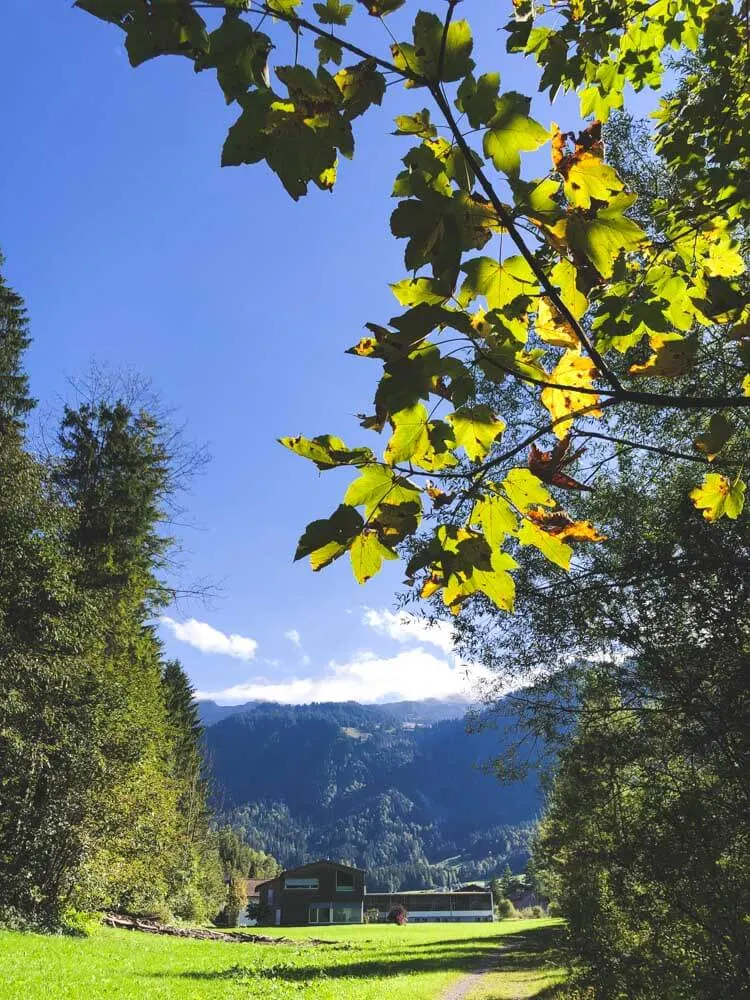 An Alpine landscape with some autumn leaves