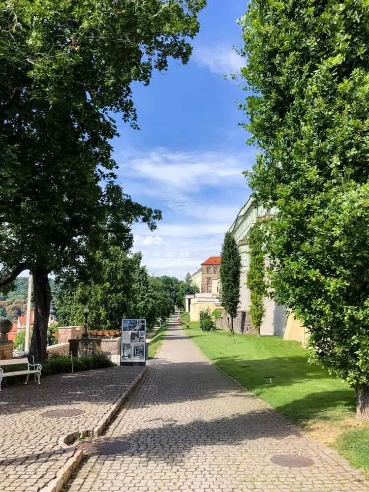 View of Prague Castle Gardens