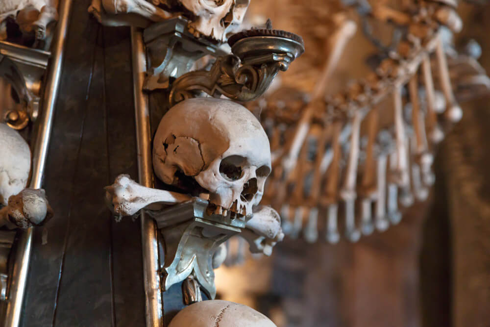 A closeup of a skull in an ossuary
