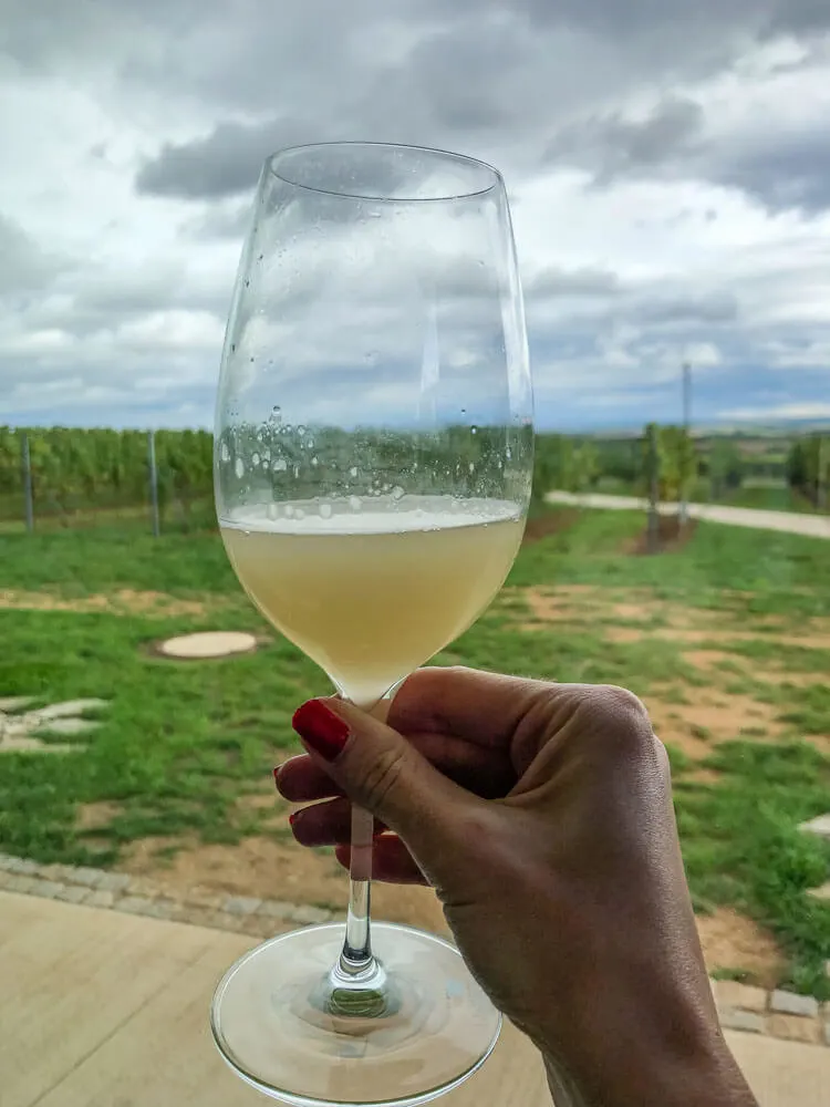 Holding a glass of Burčák, young, partially fermented wine, which is a Czech specialty