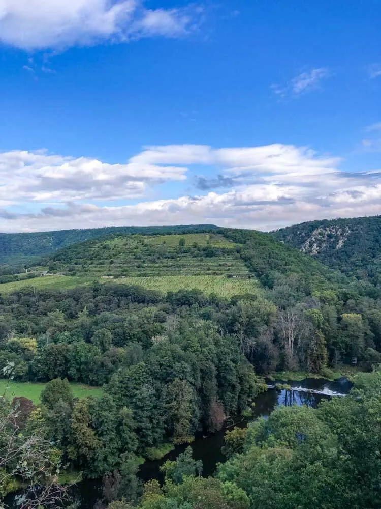 Historical vineyards near Znojmo