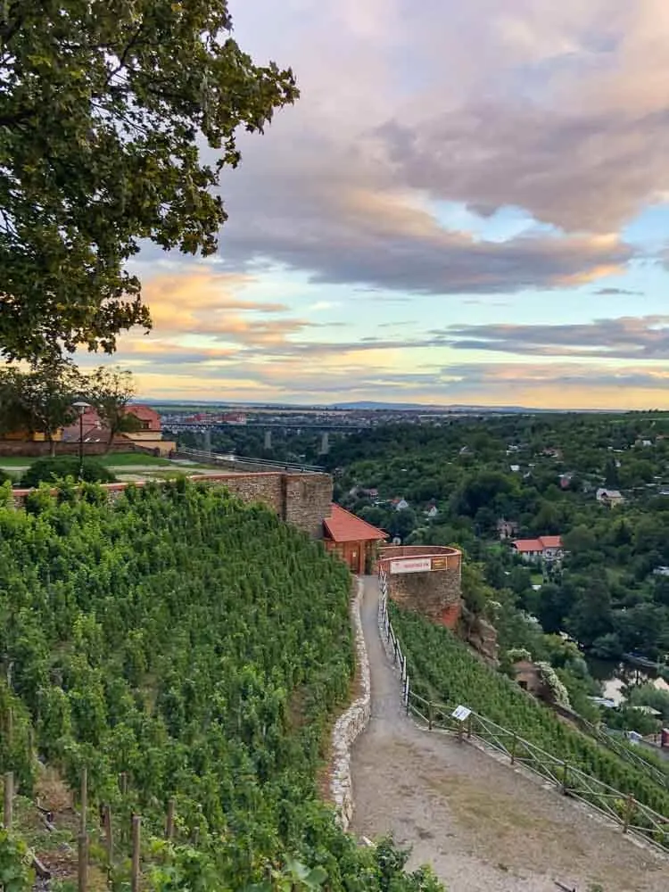 City vineyards in Znojmo Czech Republic