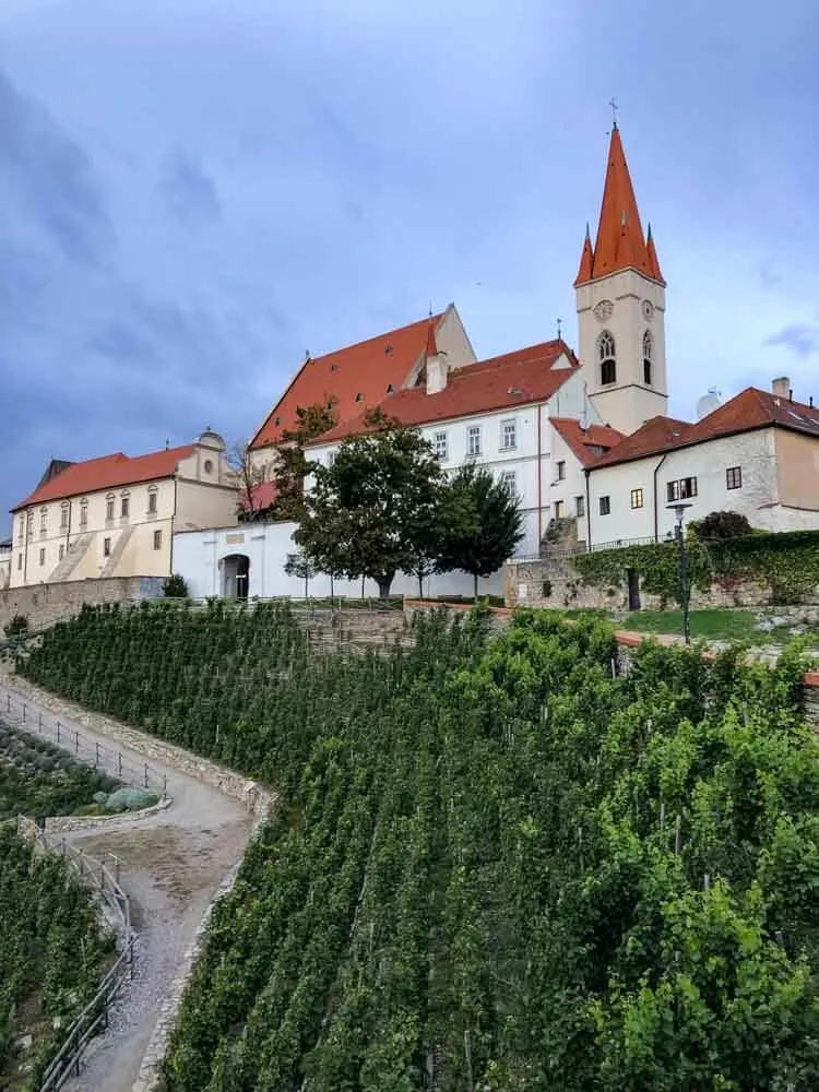 Znojmo city vineyard