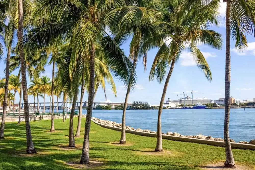 Calm seaside views in a park in Miami