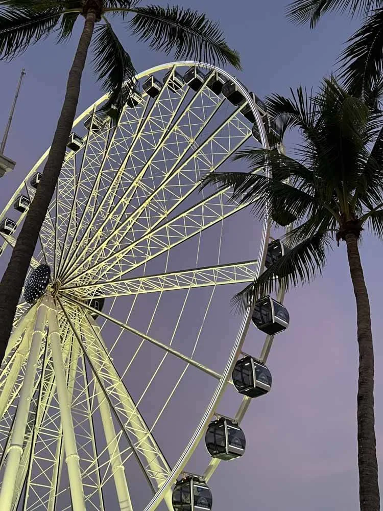 A view of a ferris wheel from below