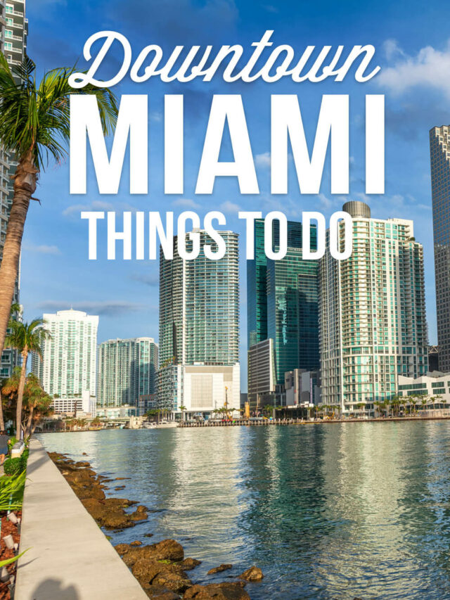 Best Things to Do in Downtown Miami Story