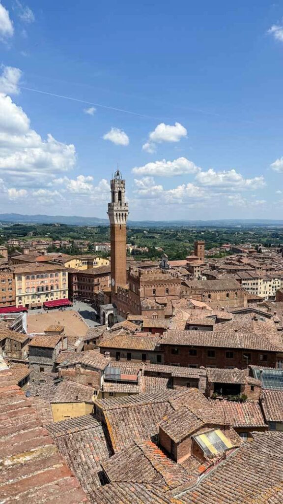 Siena's Piazza del Campo with Mangia Tower from afar