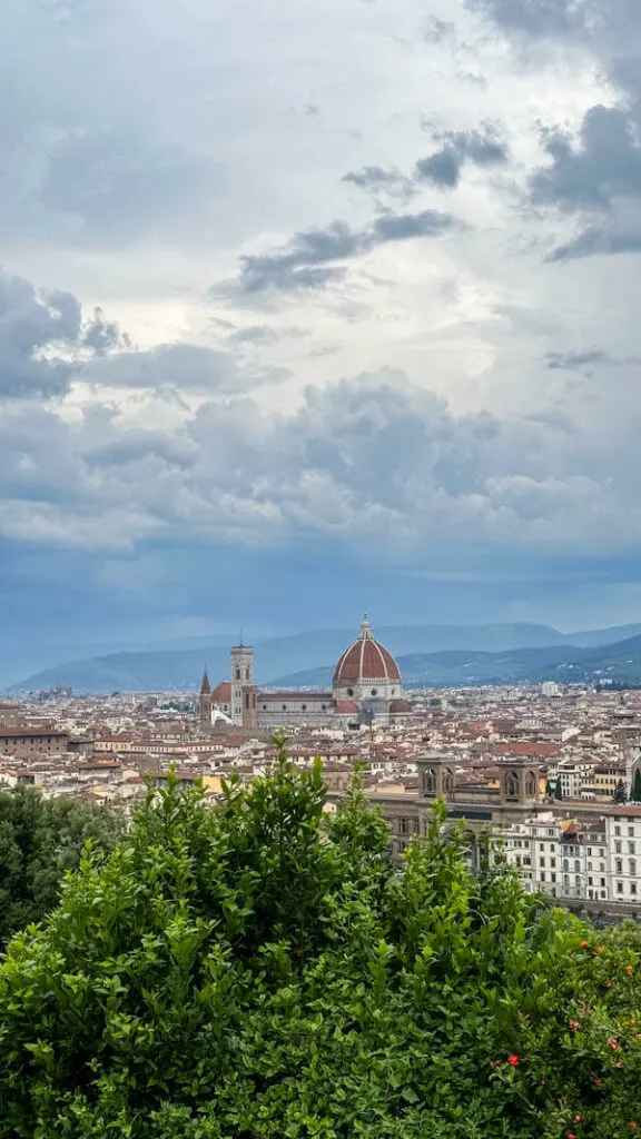 Florence from afar