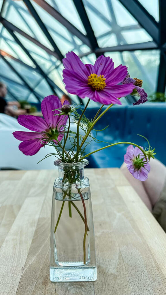 A few flowers on a table at Murinsel Café in Graz