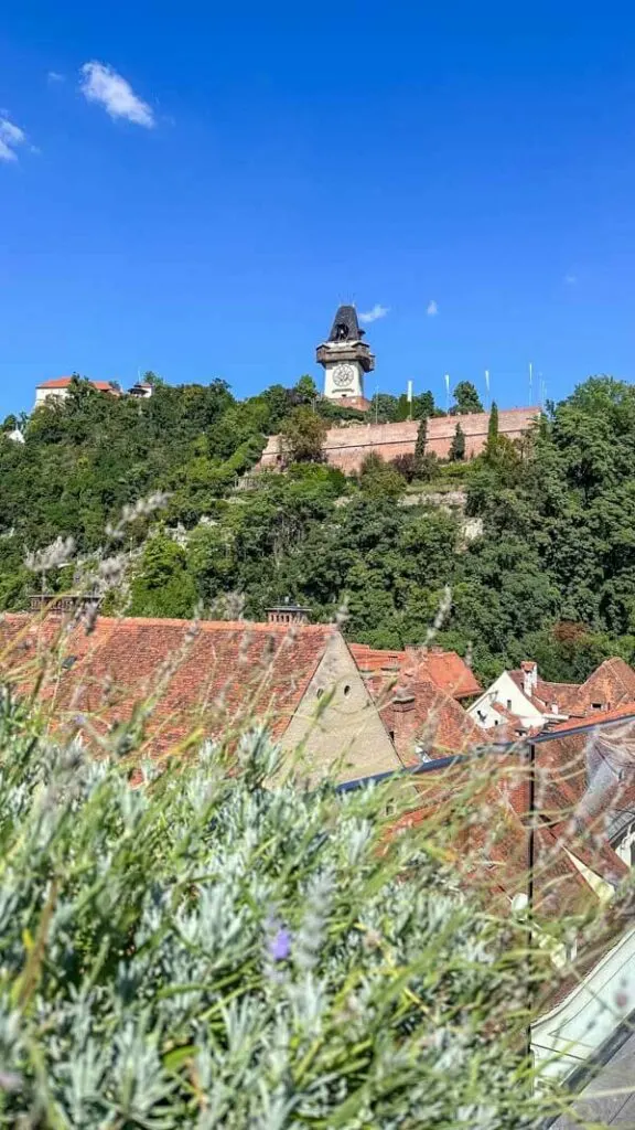 View of Graz Clock Tower surrounded by greenery