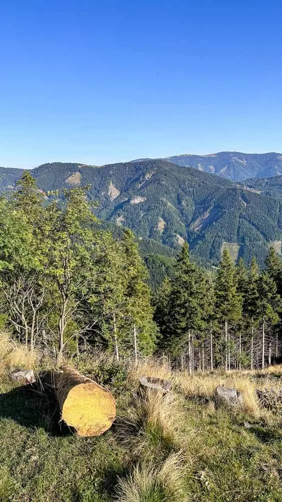 View of green mountain peaks on the background of blue sky