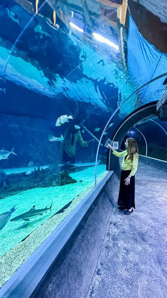 Underwater tunnel at Lodz Zoo