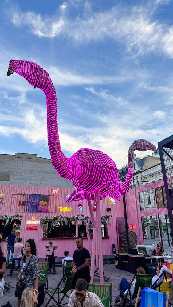 Flamingos decorating a bar in Lodz Poland