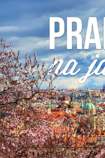 Kvetoucí třešňové stromy s panoramatickým výhledem na historické střechy, kostelní věže a památky Prahy pod modrou oblohou s mraky. Text "PRAHA na jaře" zdůrazňuje krásu jarní sezóny.