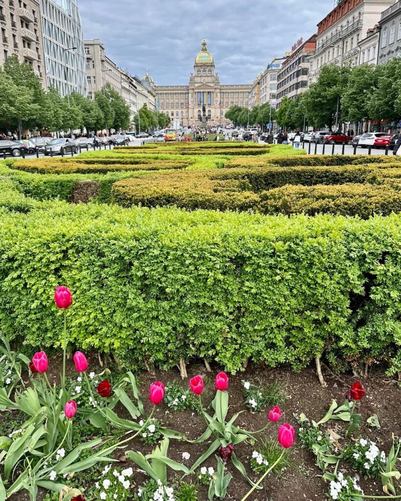 Colorful tulips and manicured hedges in Wenceslas Square with the National Museum in the distance under a cloudy sky.