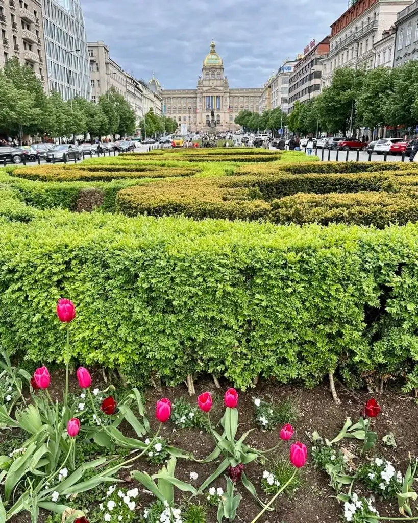 Colorful tulips and manicured hedges in Wenceslas Square with the National Museum in the distance under a cloudy sky.
