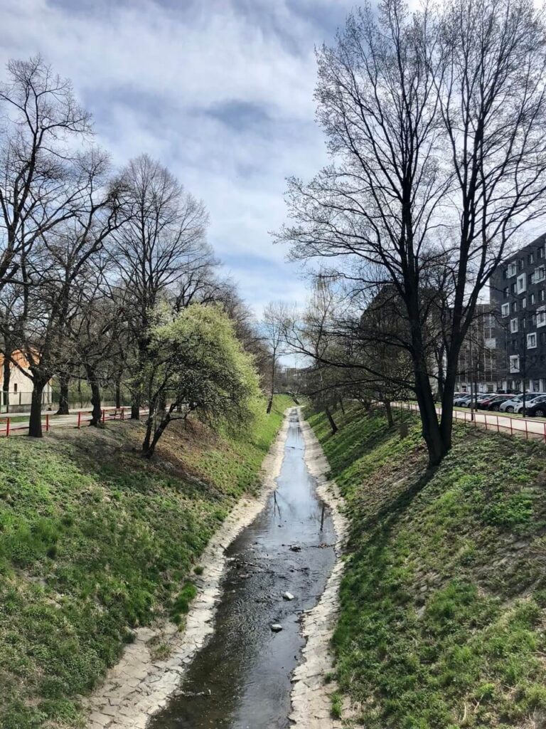 Quiet view of the Botič stream flowing through a grassy, tree-lined channel in a Prague residential neighborhood.