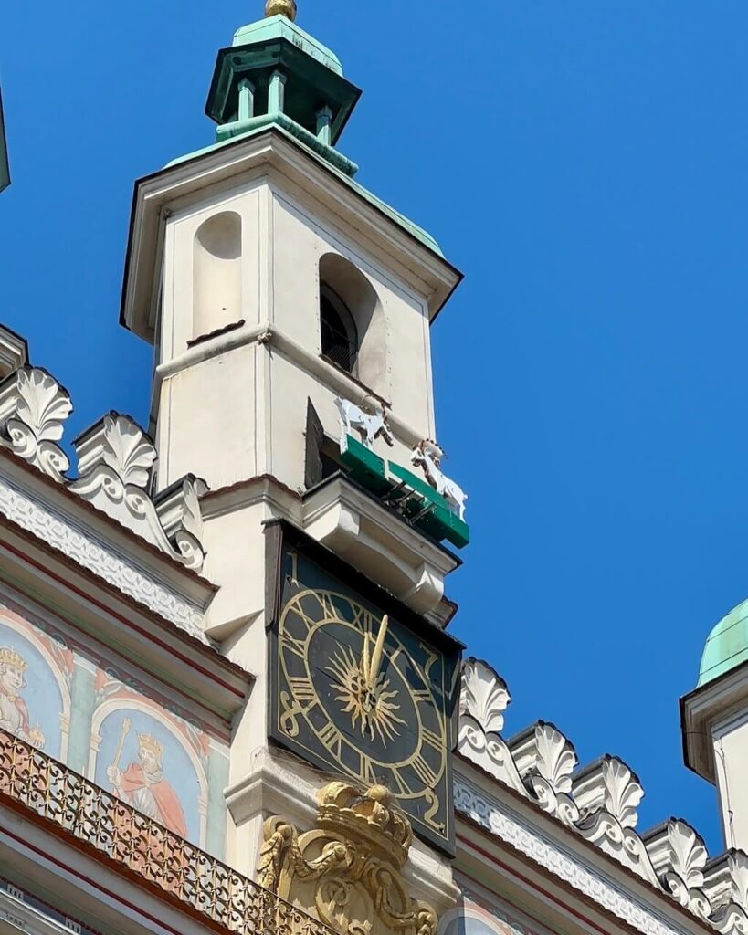 Close-up of the clock tower on Poznan Town Hall featuring two white mechanical goats above the clock face.