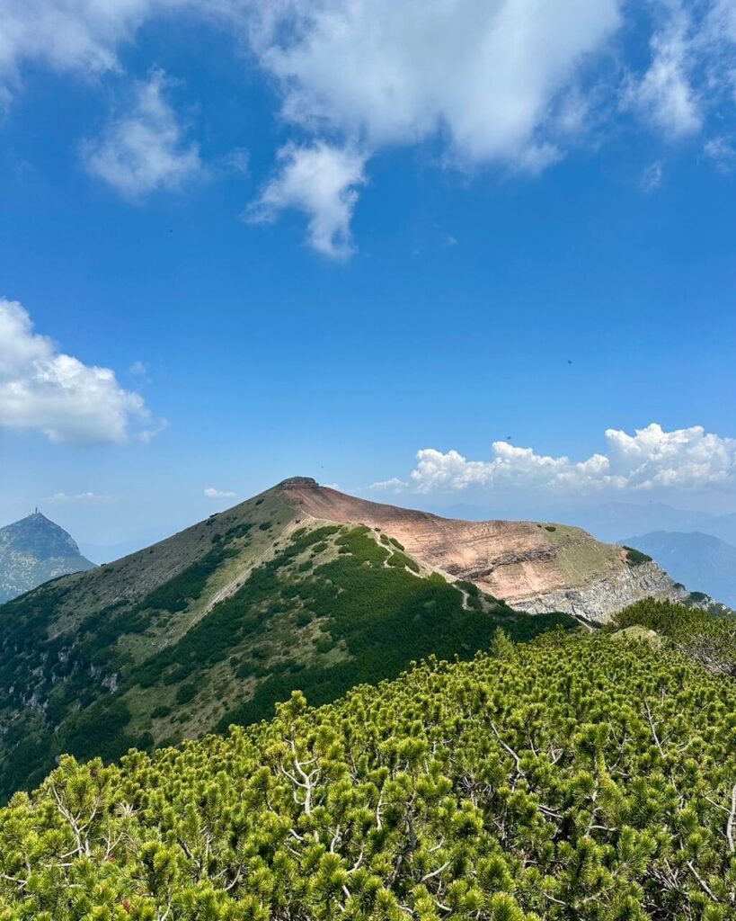Cima Verde rises above green pine shrubs and rocky slopes under a bright blue sky with small white clouds.